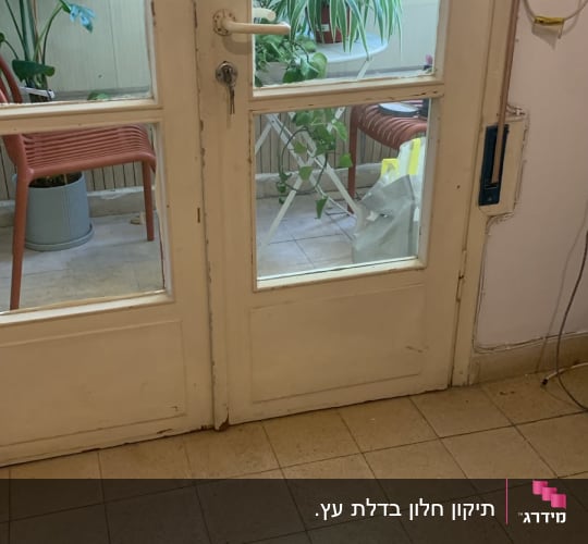 דלת זכוכית עם צמחים ברקע
